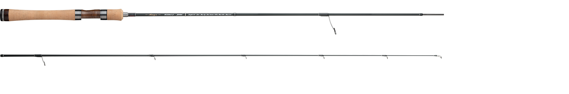 Rayzの製品画像