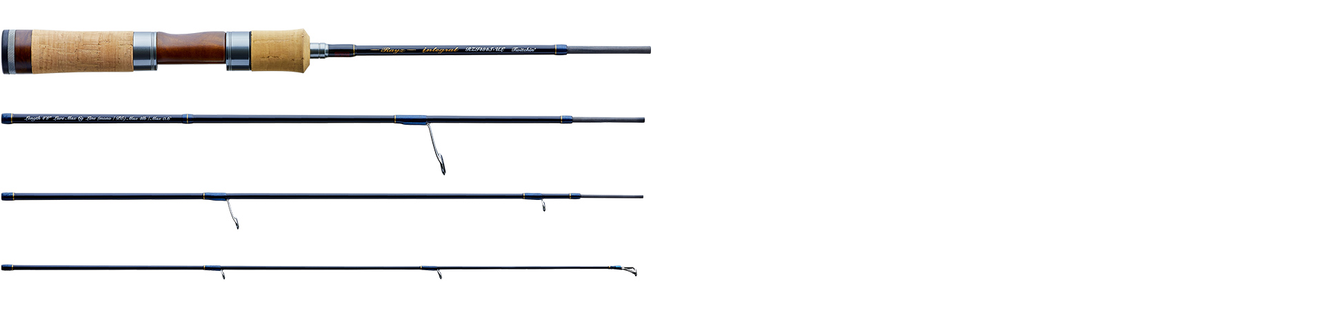 Rayz Integralの製品画像