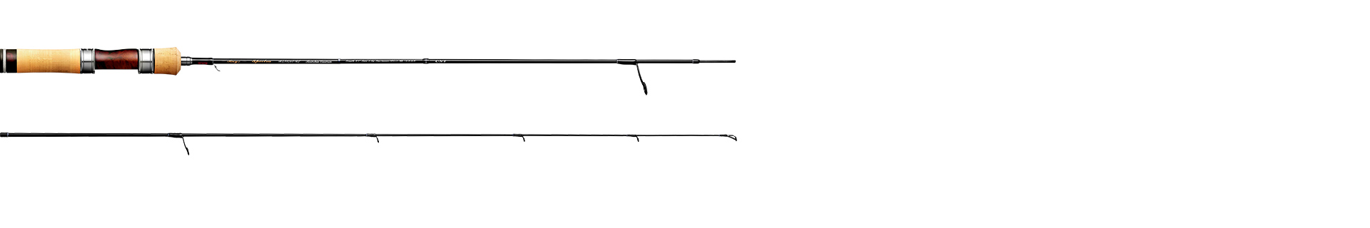 Rayz Spectraの製品画像