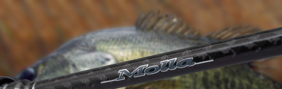 Molla(モーラ)の製品画像