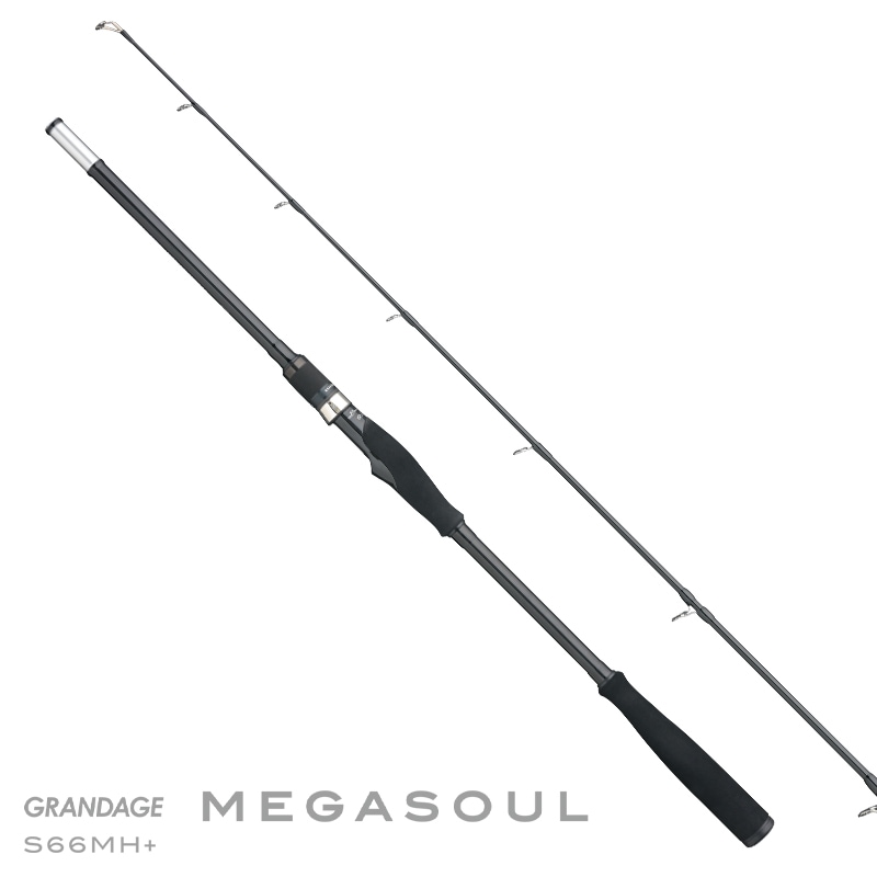 GRANDAGE MEGASOULの製品画像