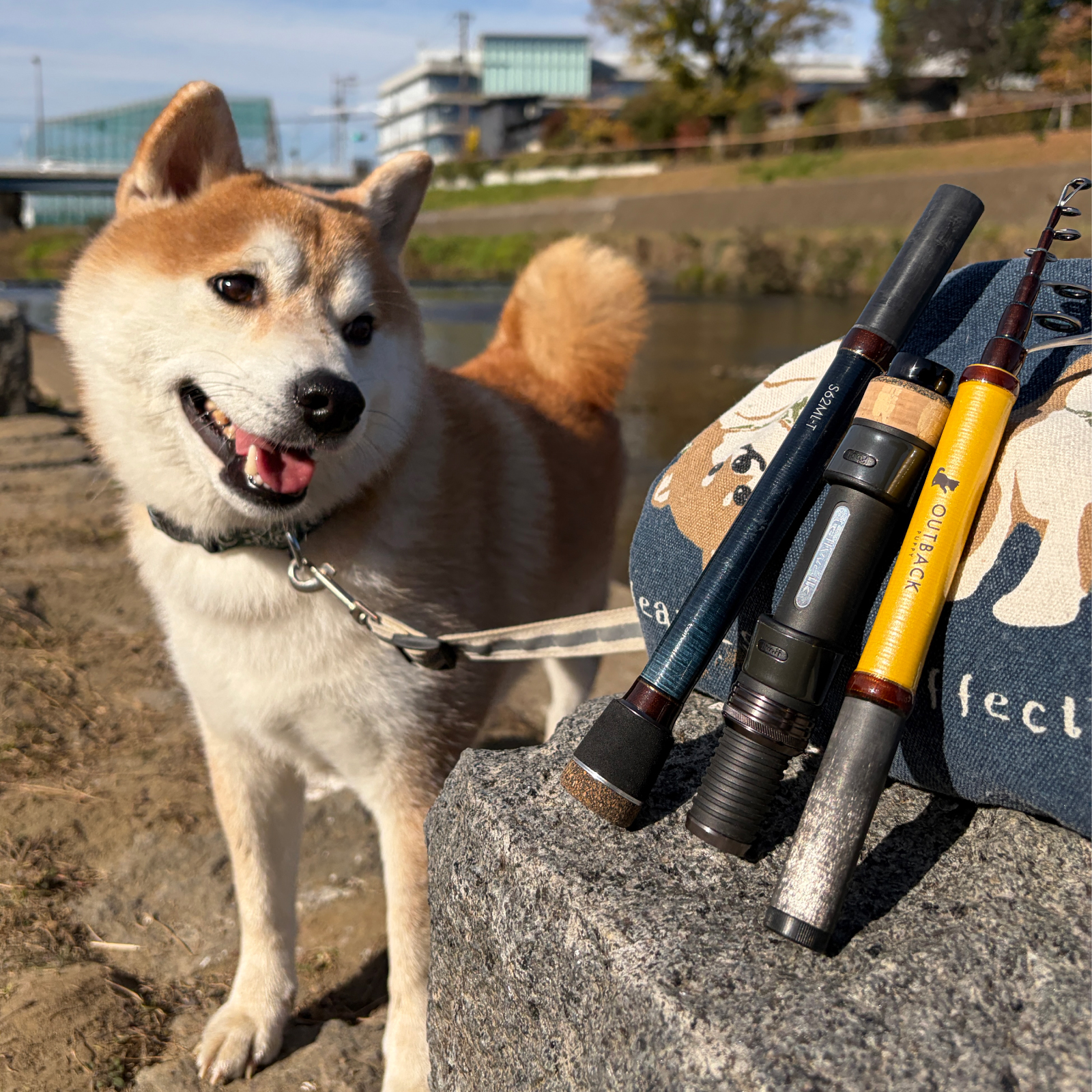 【テイルウォーク】アウトバック パピーの製品画像